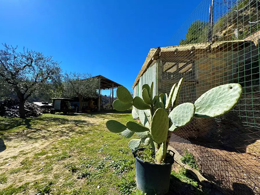 Immagine 14 di Casa indipendente in vendita  snc a Montefiore Dell'aso