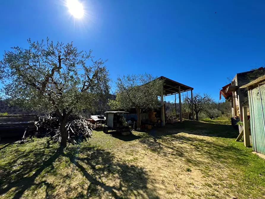 Immagine 15 di Casa indipendente in vendita  snc a Montefiore Dell'aso