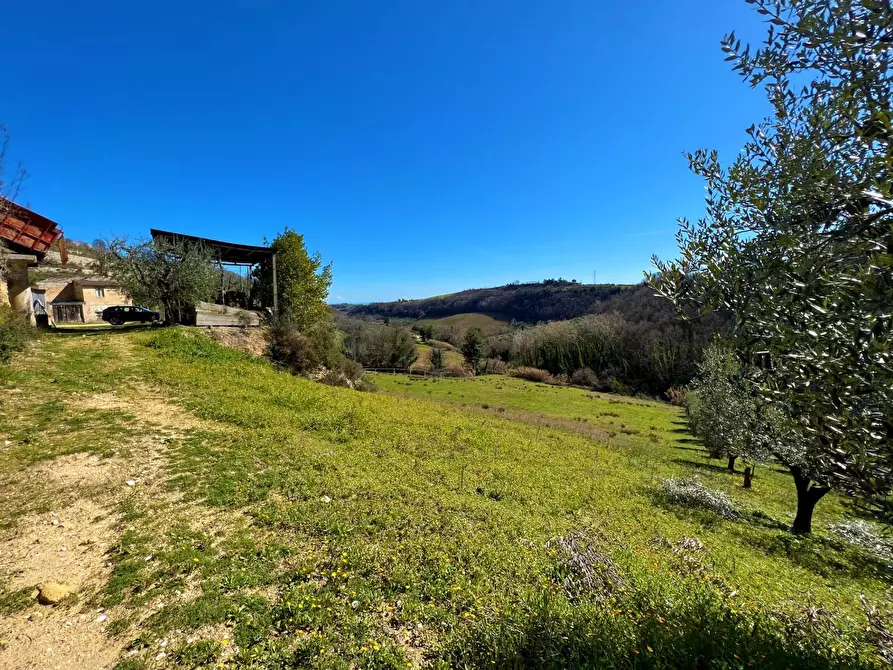 Immagine 16 di Casa indipendente in vendita  snc a Montefiore Dell'aso