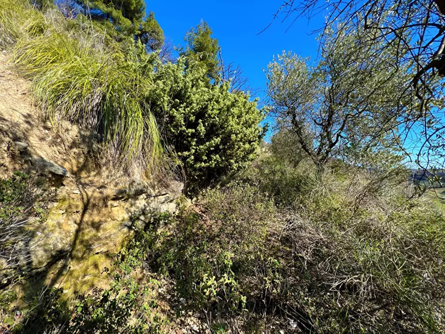 Immagine 18 di Casa indipendente in vendita  snc a Montefiore Dell'aso
