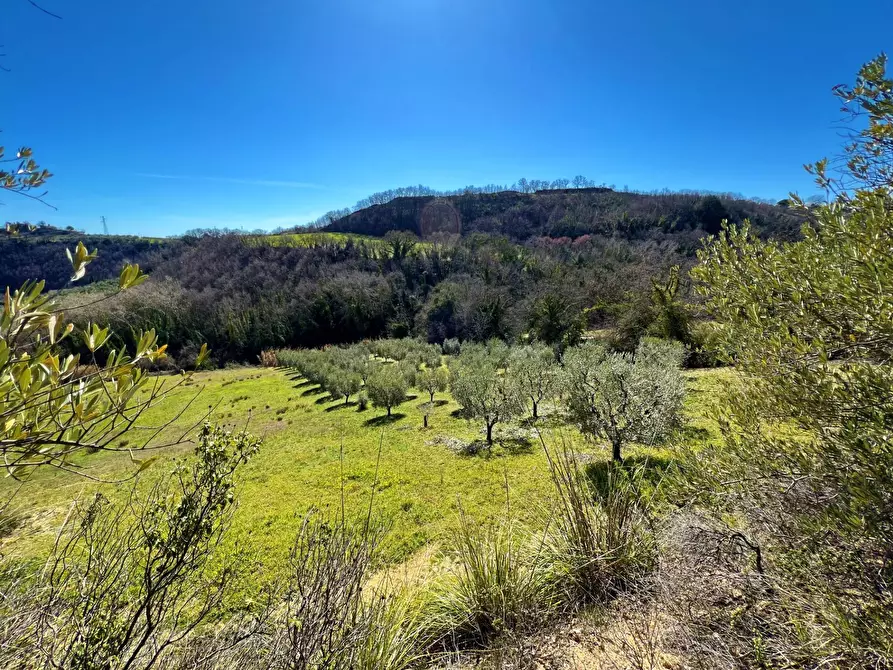 Immagine 20 di Casa indipendente in vendita  snc a Montefiore Dell'aso