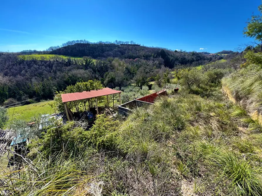 Immagine 17 di Casa indipendente in vendita  snc a Montefiore Dell'aso