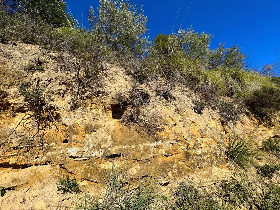 Immagine 21 di Casa indipendente in vendita  snc a Montefiore Dell'aso