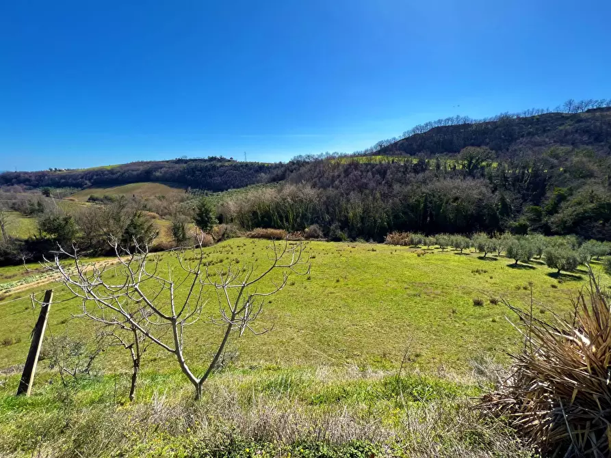 Immagine 23 di Casa indipendente in vendita  snc a Montefiore Dell'aso