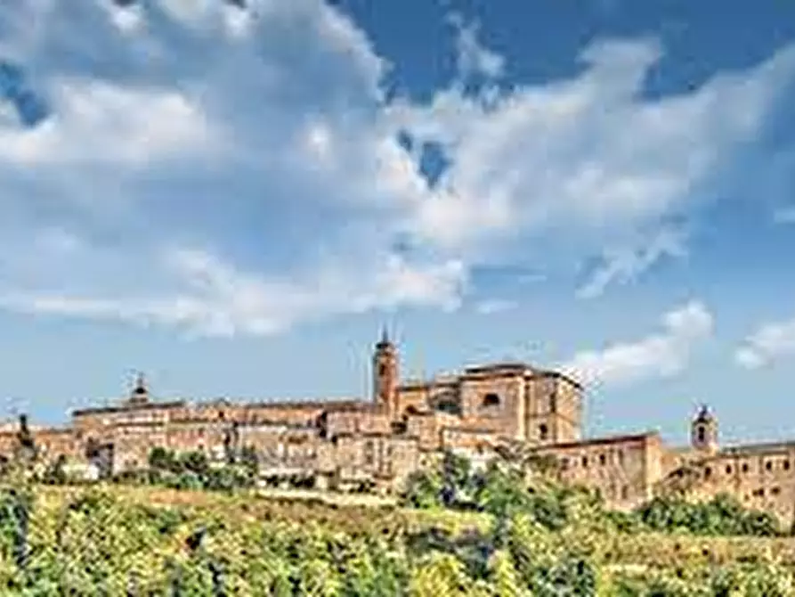 Immagine 24 di Casa indipendente in vendita  snc a Montefiore Dell'aso