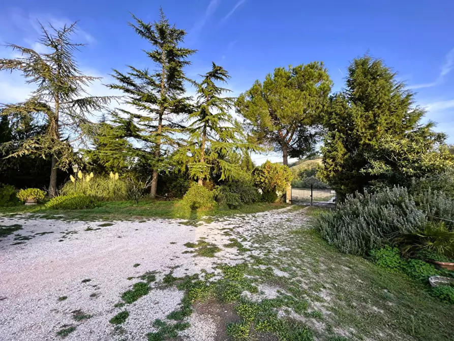 Immagine 24 di Rustico / casale in vendita  a Fermo