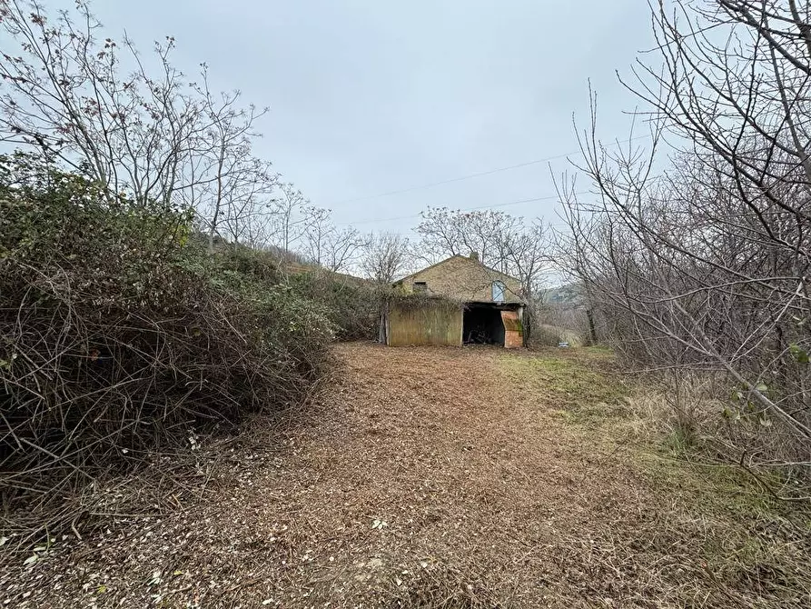 Immagine 5 di Rustico / casale in vendita  in Via Domenico Collina snc a Porto San Giorgio