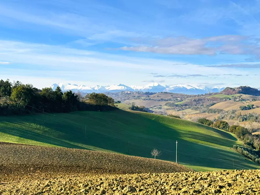 Immagine 11 di Rustico / casale in vendita  a Fermo