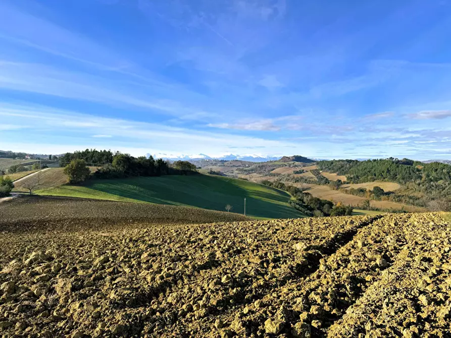 Immagine 12 di Rustico / casale in vendita  a Fermo
