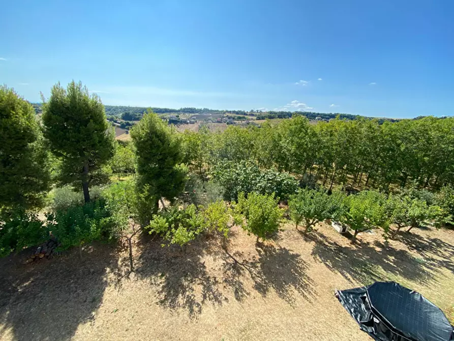 Immagine 21 di Casa indipendente in vendita  snc a Lapedona