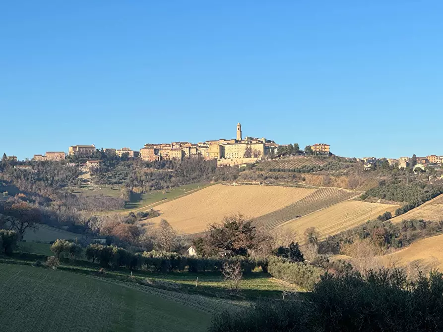 Immagine 9 di Rustico / casale in vendita  a Petritoli