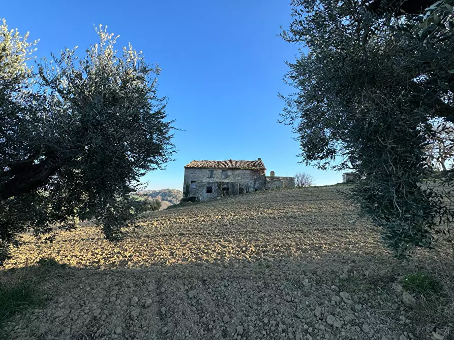 Immagine 6 di Rustico / casale in vendita  a Petritoli