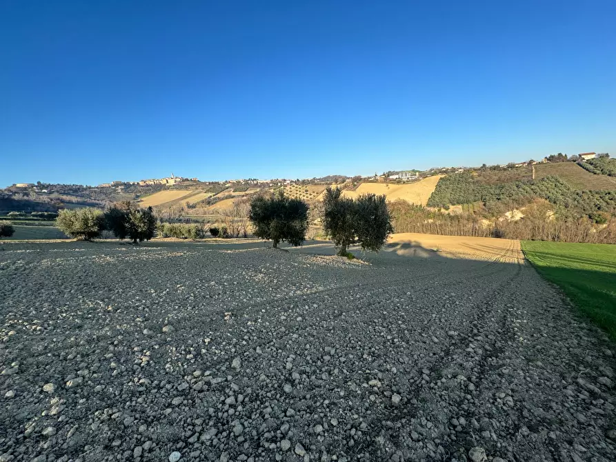 Immagine 7 di Rustico / casale in vendita  a Petritoli