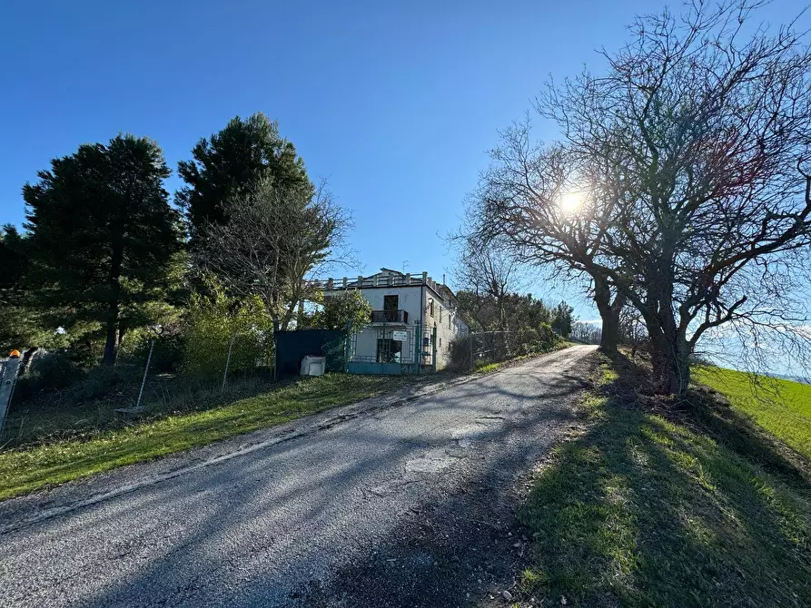 Immagine 17 di Casa indipendente in vendita  snc a Lapedona