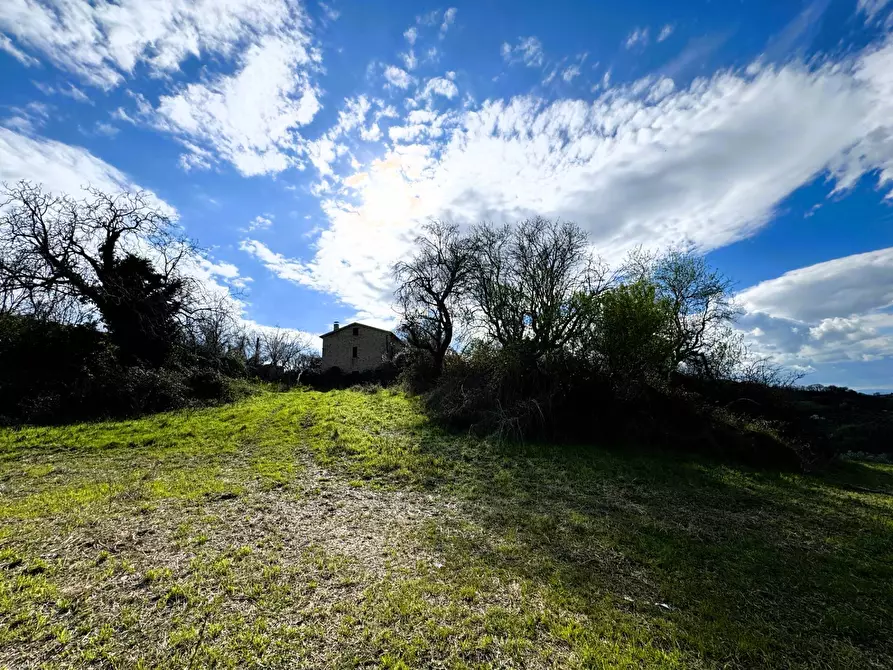 Immagine 4 di Casa indipendente in vendita  snc a Petritoli