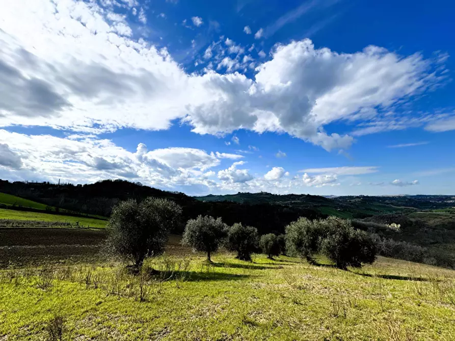 Immagine 5 di Casa indipendente in vendita  snc a Petritoli