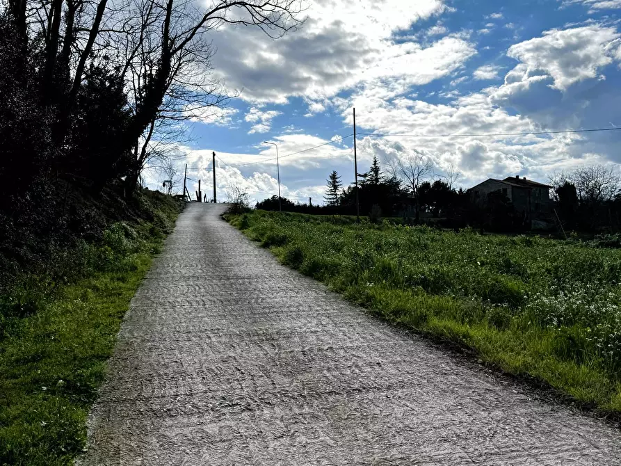 Immagine 7 di Casa indipendente in vendita  snc a Petritoli