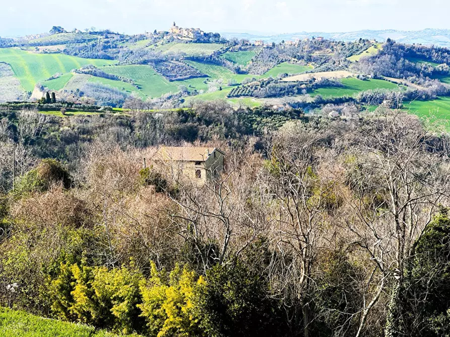 Immagine 8 di Casa indipendente in vendita  snc a Petritoli