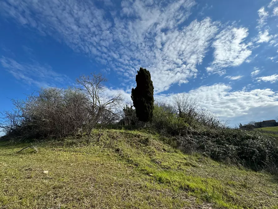 Immagine 6 di Casa indipendente in vendita  snc a Petritoli