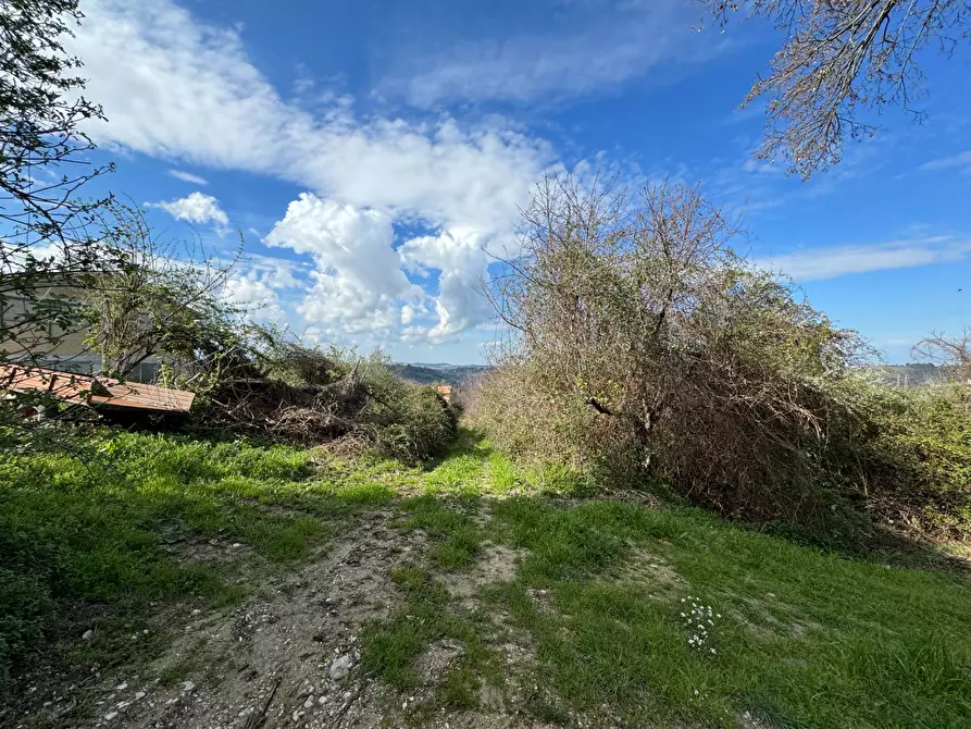 Immagine 9 di Casa indipendente in vendita  snc a Petritoli