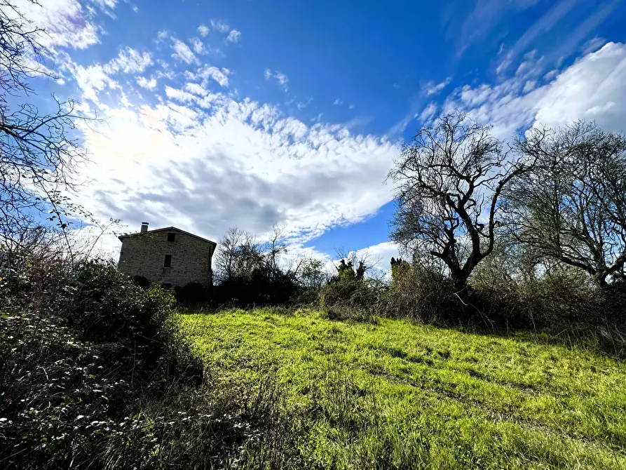 Immagine 3 di Casa indipendente in vendita  snc a Petritoli