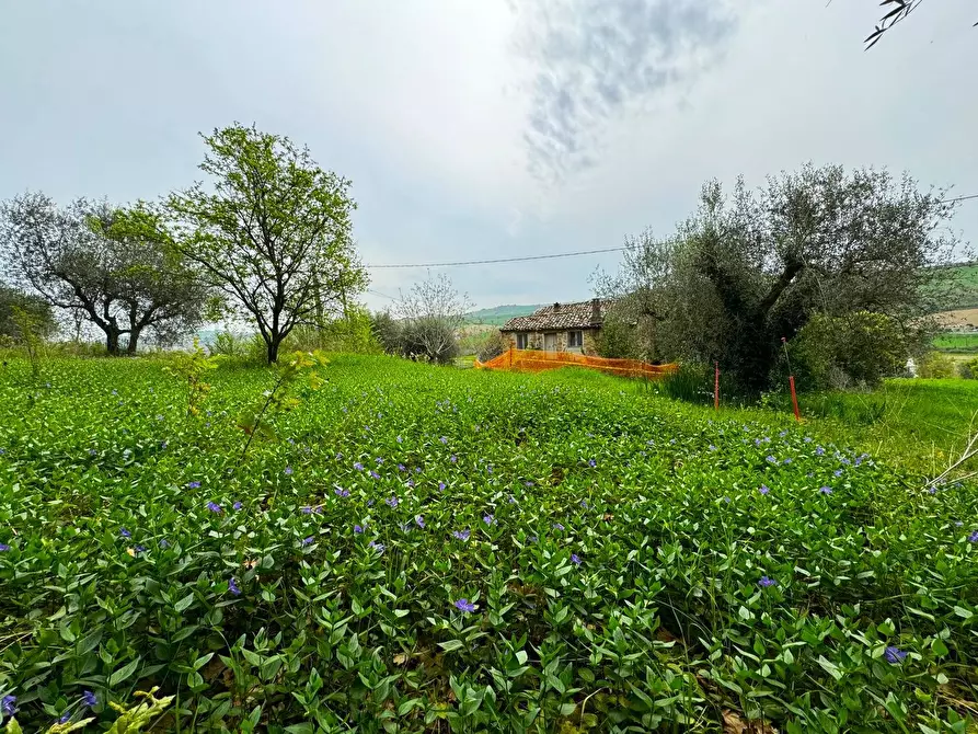 Immagine 7 di Rustico / casale in vendita  snc a Fermo