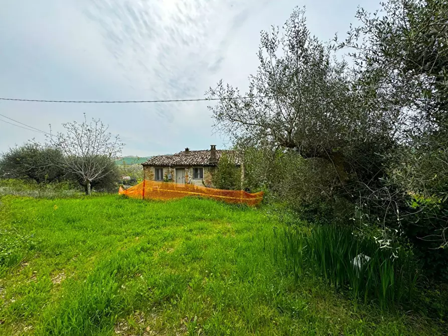 Immagine 4 di Rustico / casale in vendita  snc a Fermo
