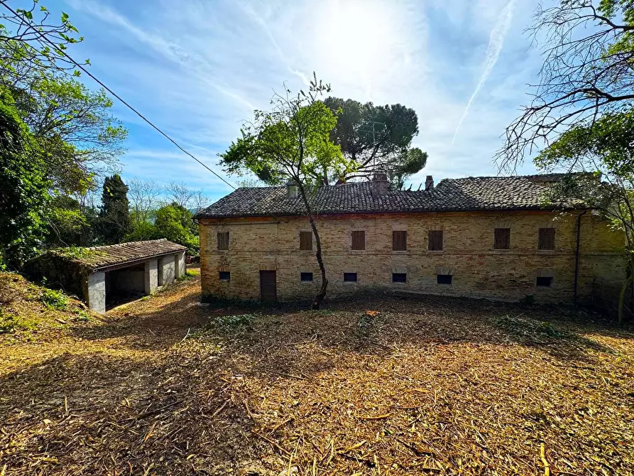 Immagine 1 di Rustico / casale in vendita  snc a Sant'elpidio A Mare