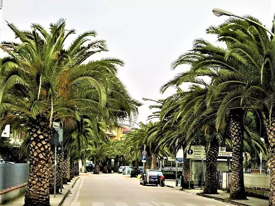 Immagine 14 di Appartamento in vendita  snc a Porto San Giorgio