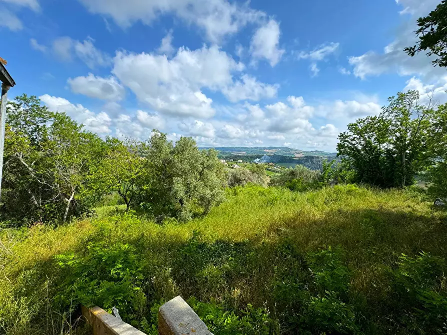 Immagine 4 di Rustico / casale in vendita  a Fermo