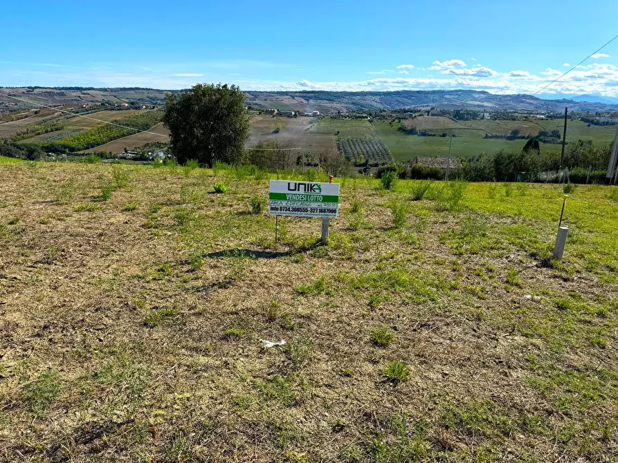 Immagine 1 di Terreno residenziale in vendita  76 a Fermo