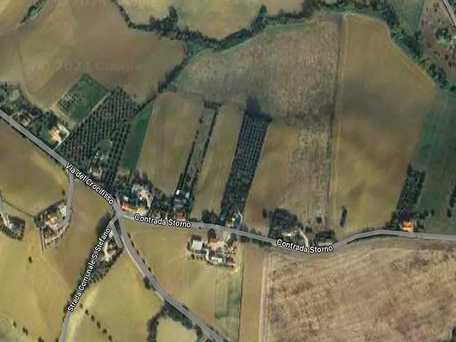 Immagine 6 di Terreno agricolo in vendita  snc a Fermo