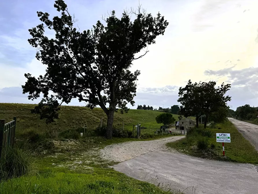 Immagine 1 di Rustico / casale in vendita  a Lapedona