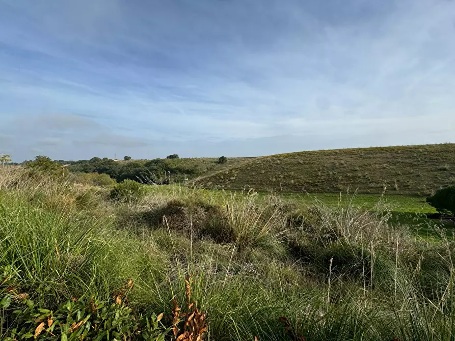 Immagine 5 di Rustico / casale in vendita  a Lapedona