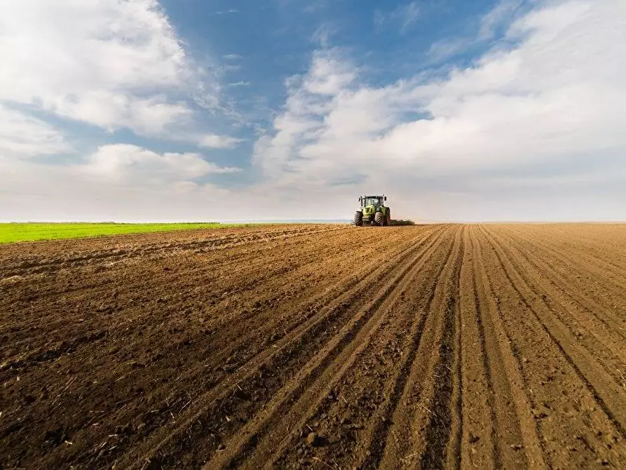 Immagine 1 di Terreno agricolo in vendita  snc a Monte San Pietrangeli