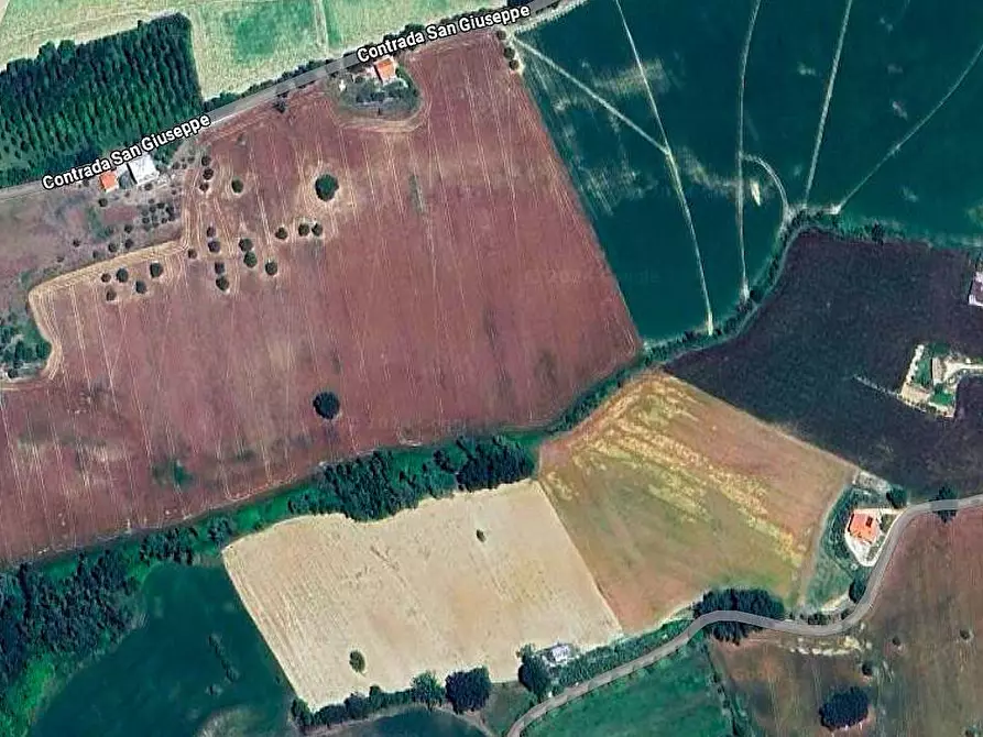 Immagine 4 di Terreno agricolo in vendita  snc a Monte San Pietrangeli