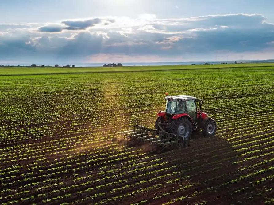 Immagine 2 di Terreno agricolo in vendita  snc a Fermo