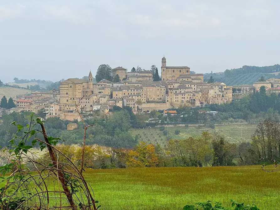 Immagine 28 di Rustico / casale in vendita  snc a Montottone