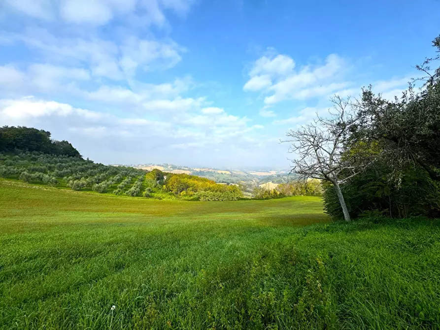 Immagine 29 di Rustico / casale in vendita  snc a Montottone