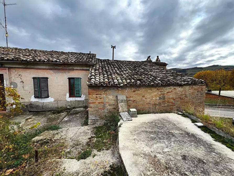 Immagine 3 di Rustico / casale in vendita  17 a Monterubbiano