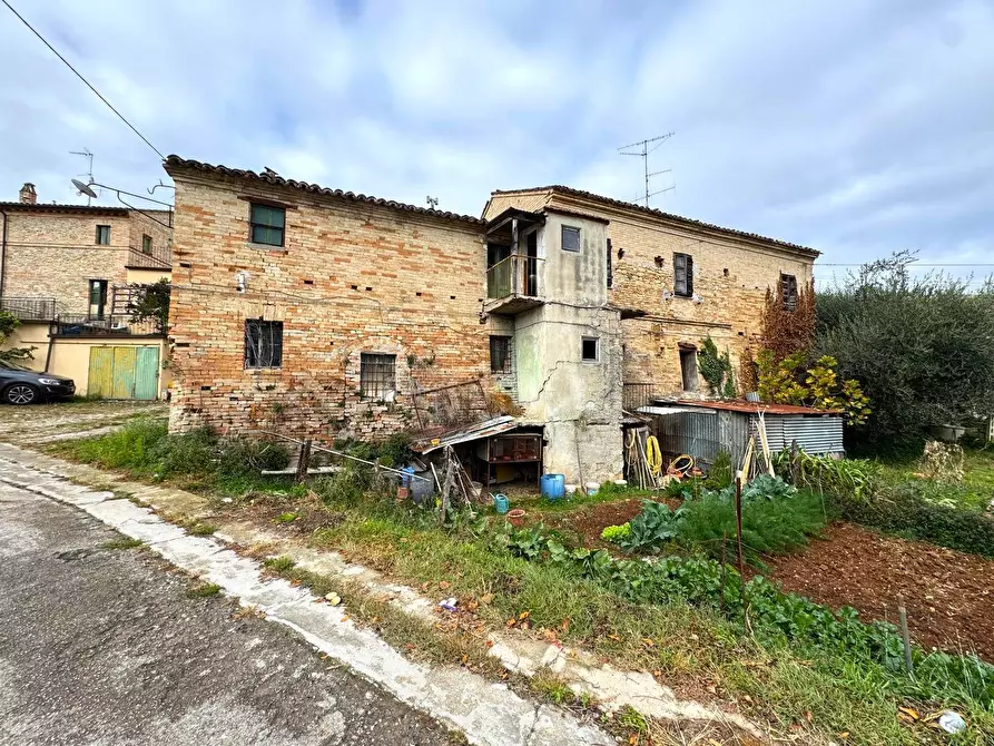 Immagine 7 di Rustico / casale in vendita  17 a Monterubbiano