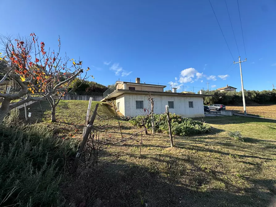 Immagine 2 di Casa indipendente in vendita  a Fermo