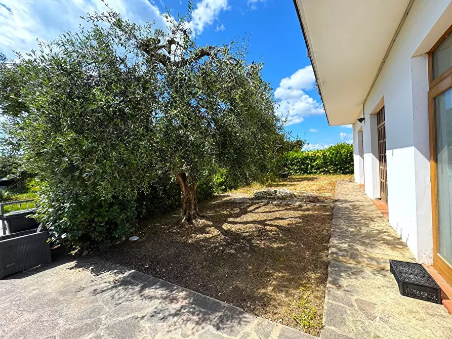 Immagine 5 di Casa indipendente in vendita  a Altidona