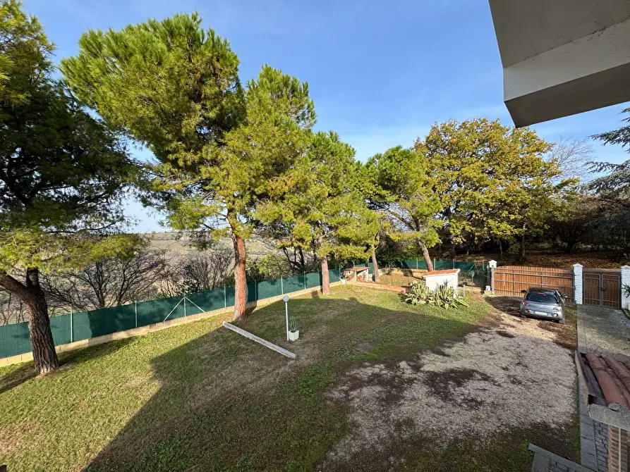 Immagine 11 di Rustico / casale in vendita  a Lapedona