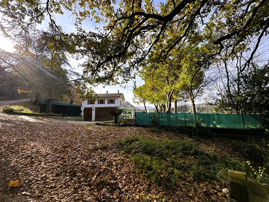 Immagine 12 di Rustico / casale in vendita  a Lapedona