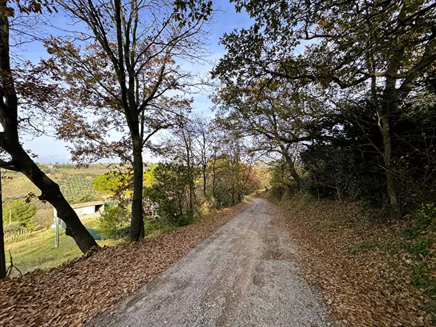 Immagine 15 di Rustico / casale in vendita  a Lapedona