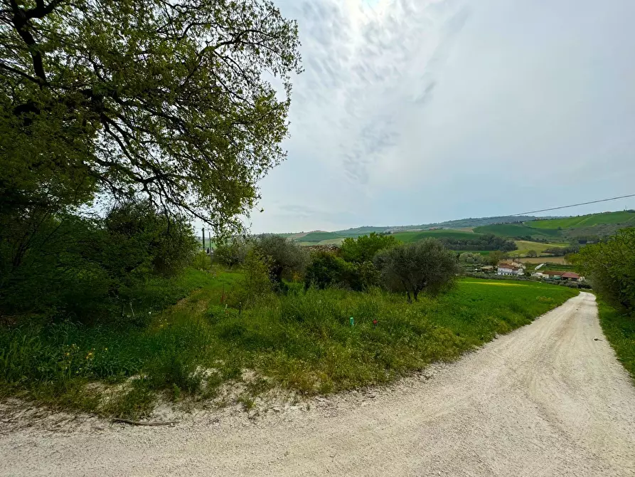Immagine 3 di Terreno agricolo in vendita  snc a Fermo