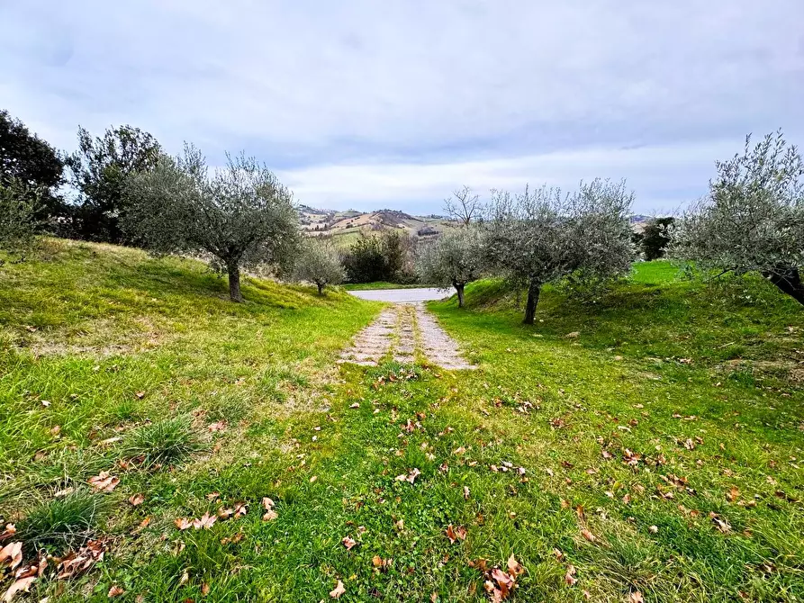 Immagine 22 di Rustico / casale in vendita  snc a Montottone