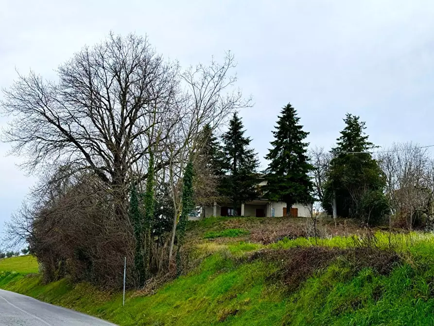 Immagine 23 di Rustico / casale in vendita  snc a Montottone