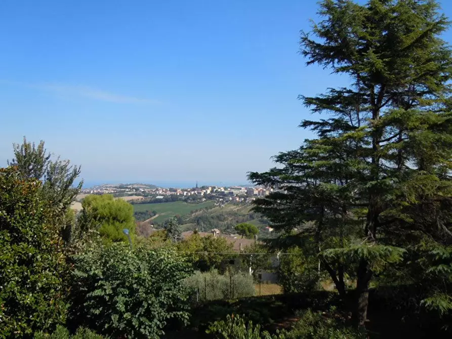 Immagine 3 di Terreno residenziale in vendita  snc a Fermo